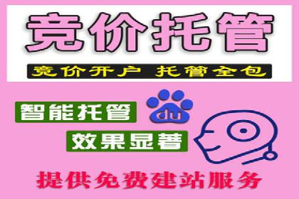 竞价托管实战案例：提升广告点击率与转化率